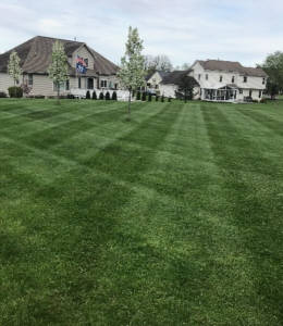 Grass and landscaping completely maintained by Landscape Solutions in Rochester NY.